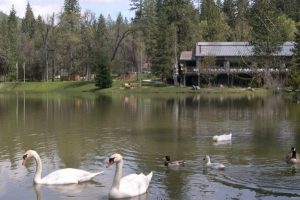 Episcopal Conference Center Oakhurst (ECCO)
